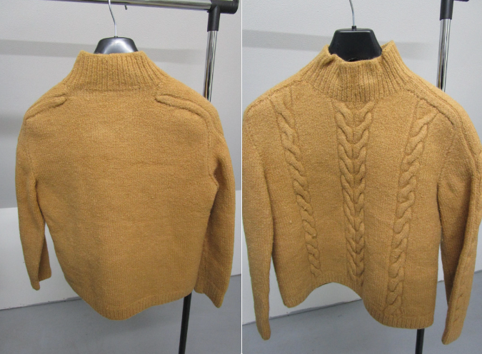 PULL 14 La Roche-Derrien (22)