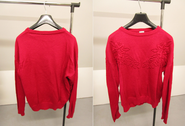 Pull 13 La Roche-Derrien (22)