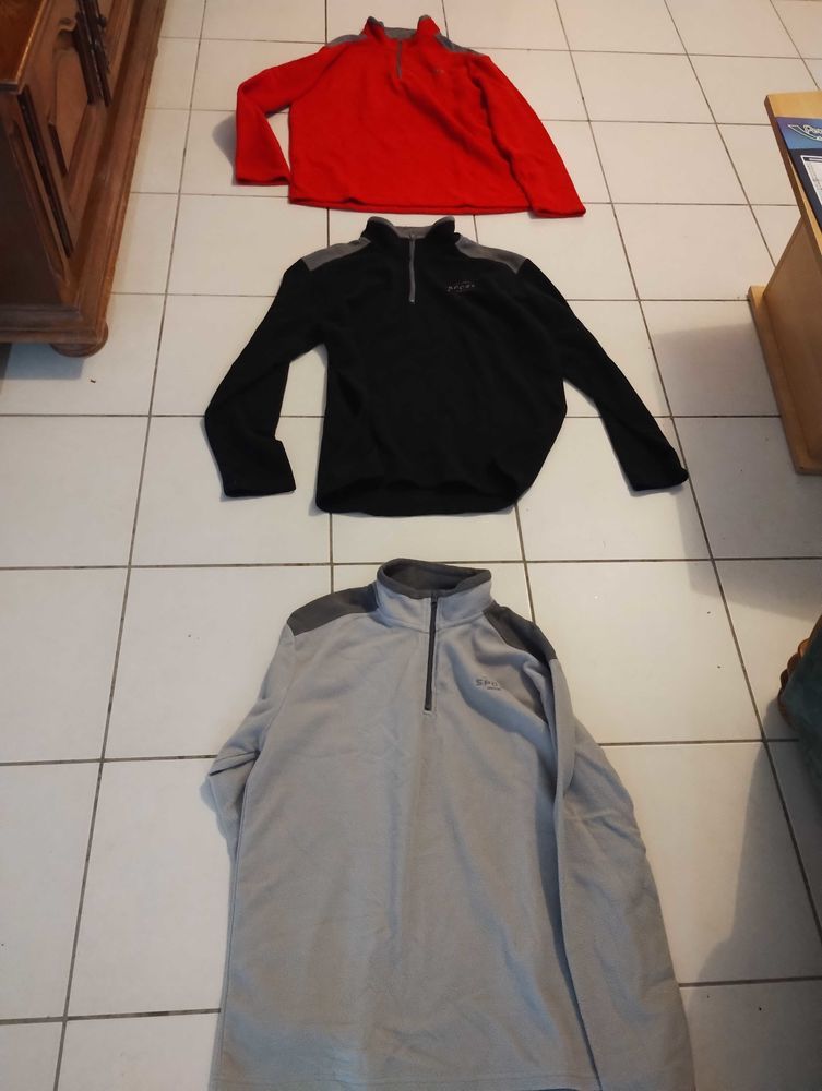 pull 15 Le Pin-la-Garenne (61)