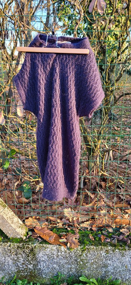 PULL 5 Libourne (33)