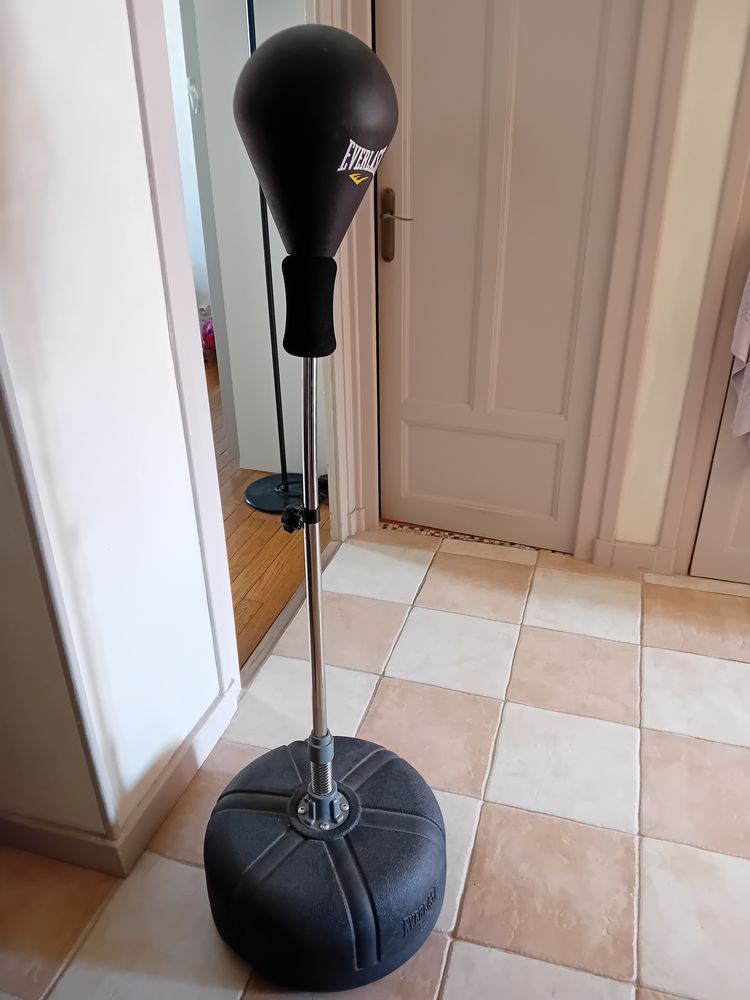 Punching-ball Everlast 50 Grenoble (38)