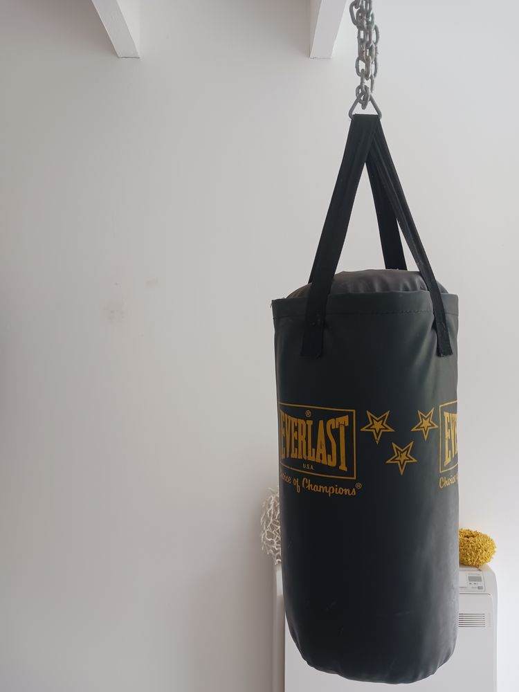 Punching ball 30 C�nac (33)