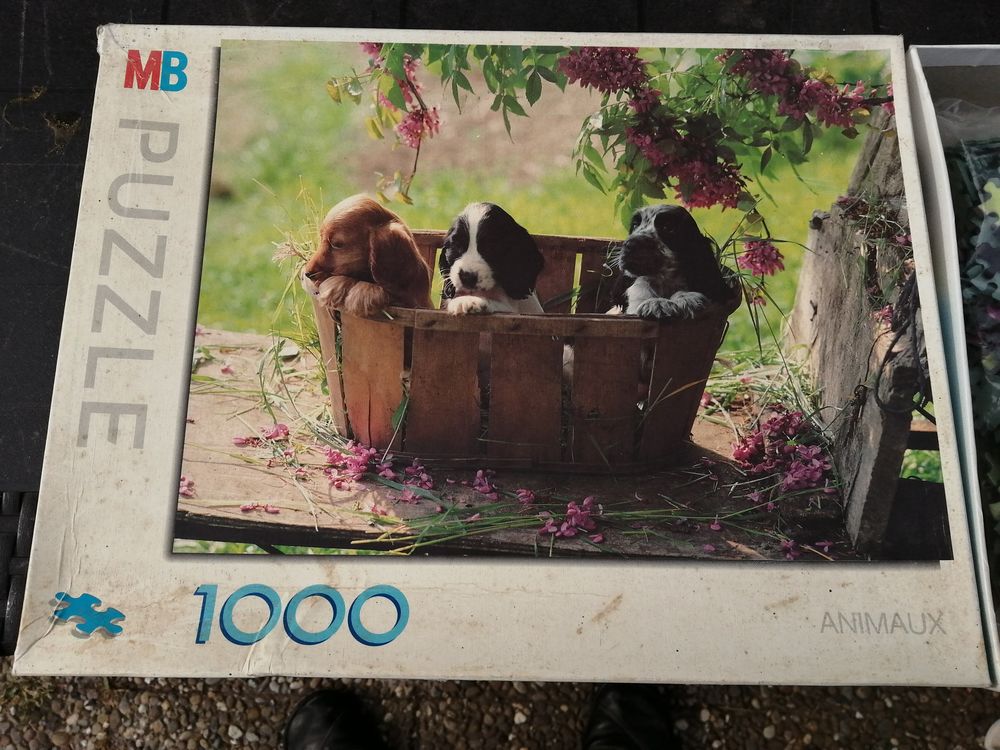 Puzzle 1000 pieces marque MB 5 Menneval (27)