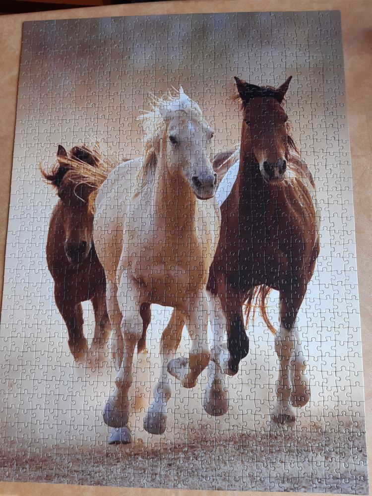 puzzle 1000 pi�ces 6 Grenoble (38)