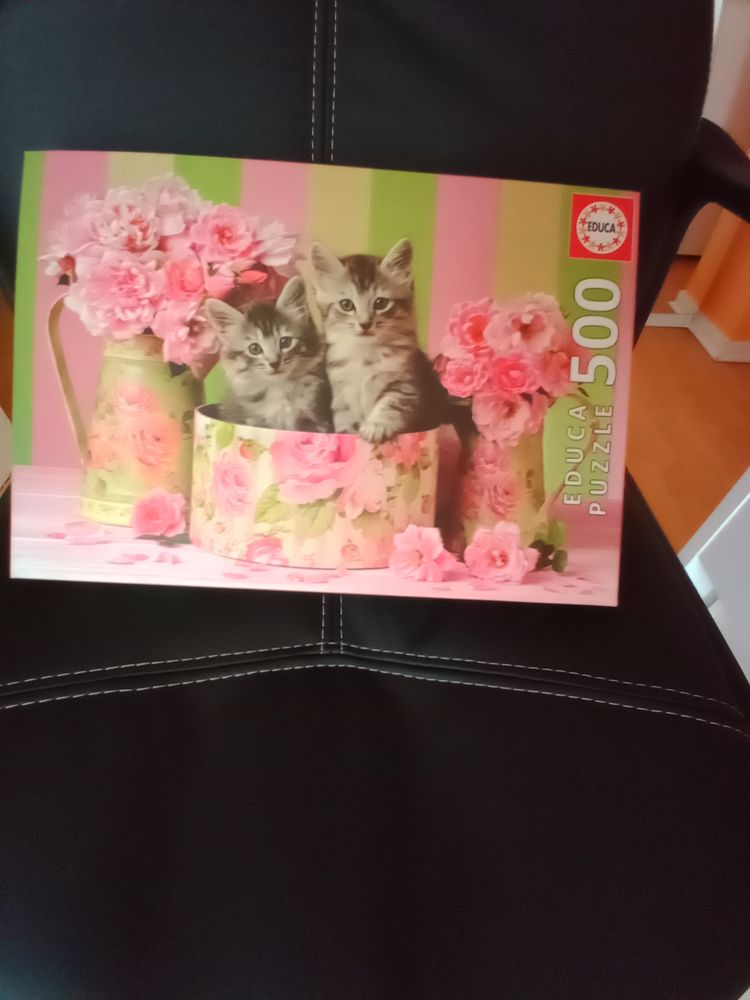 PUZZLE CHATON 500 PIECES 5 M�rignac (33)