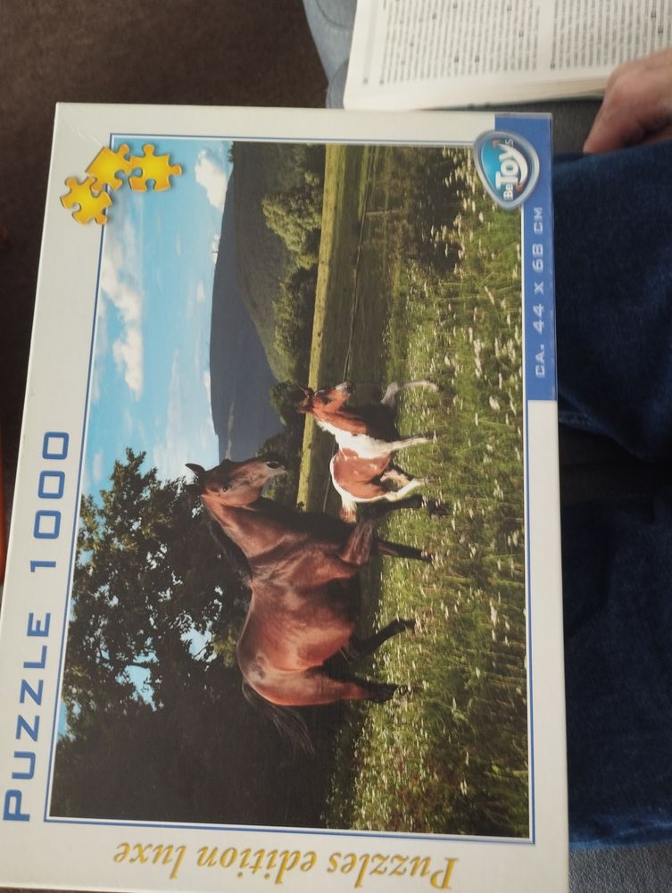 puzzle chevaux 7 Nantes (44)