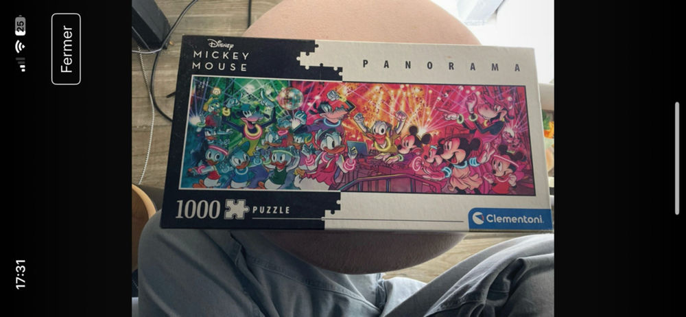 puzzle Disney cl�mentoni 5 Saint-Sauveur (33)