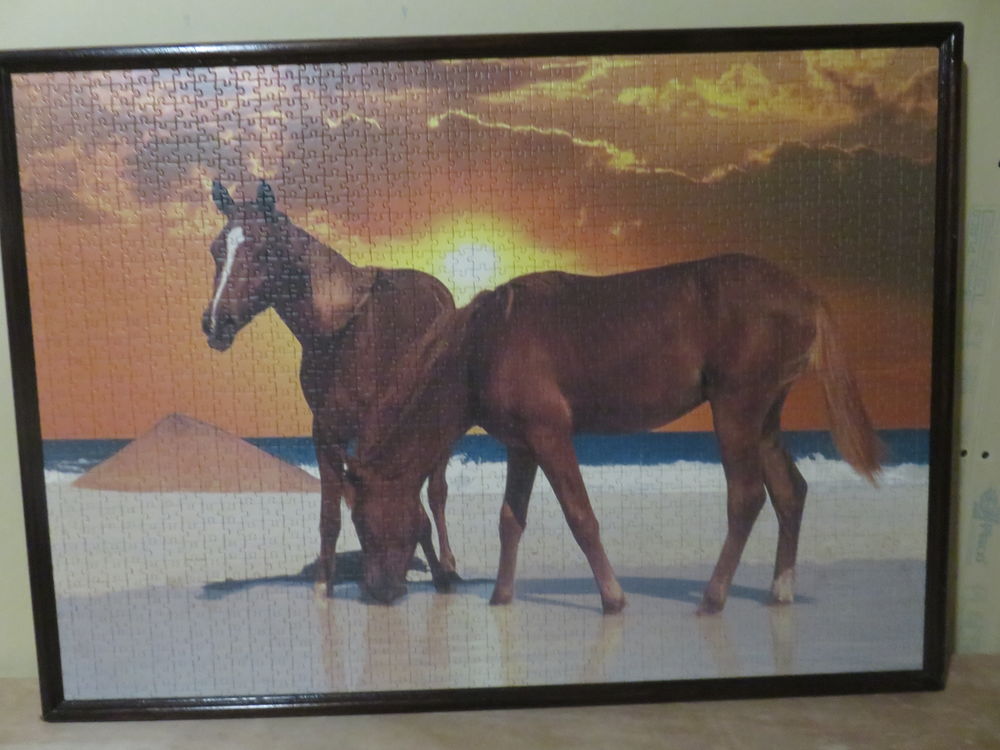 PUZZLE ENCADRE CHEVAUX 10 Chaumont (52)