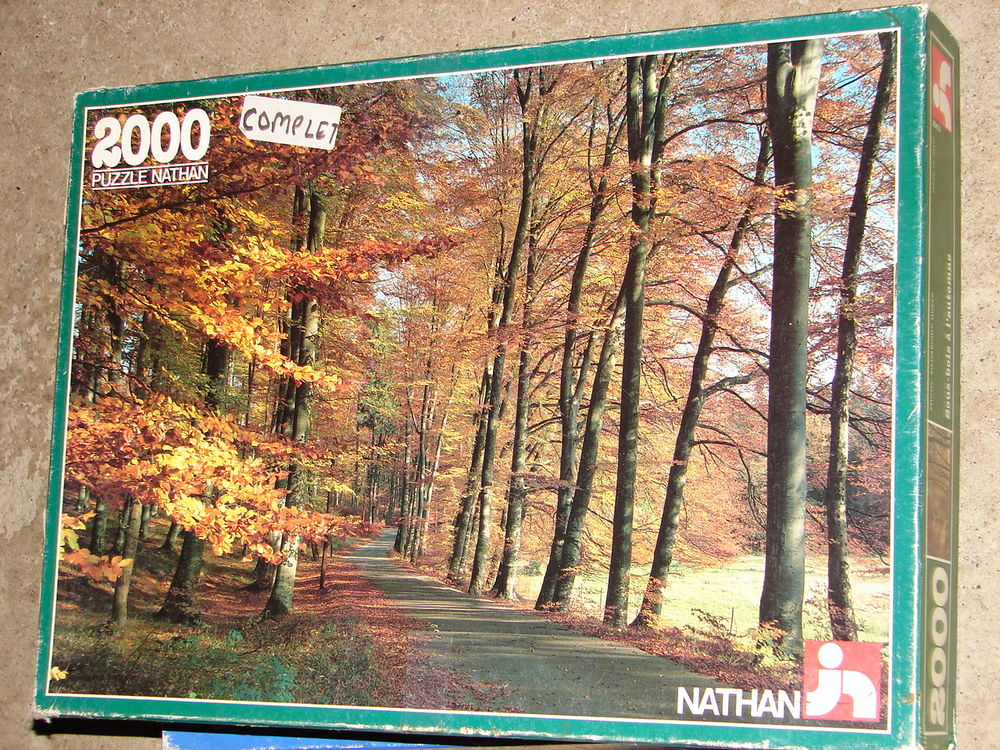 PUZZLE NATHAN  sous-bois � l'automne  10 Chauny (02)