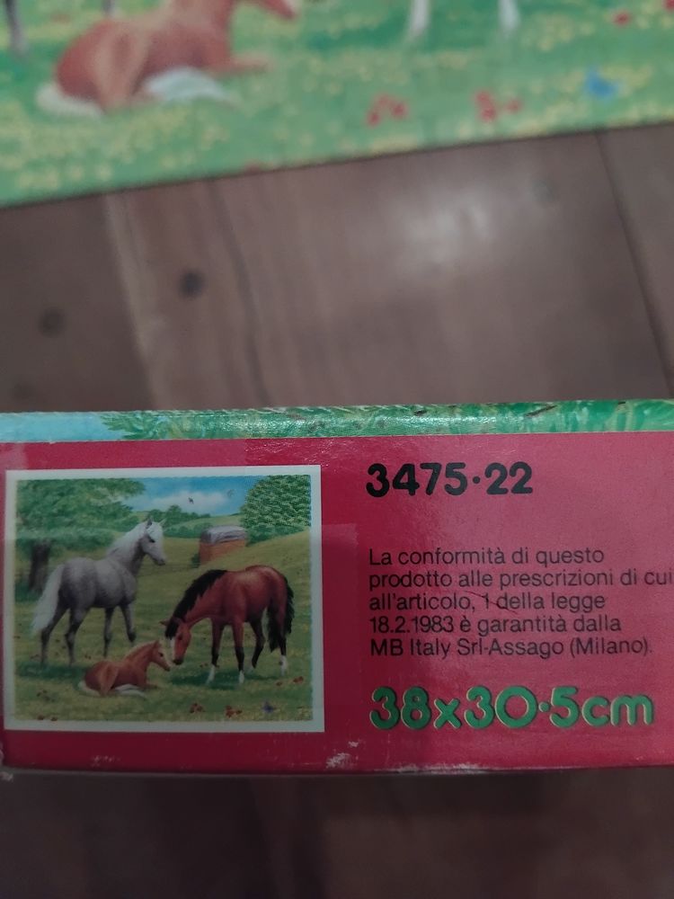 Puzzle 100 pieces 4 Blandy (77)