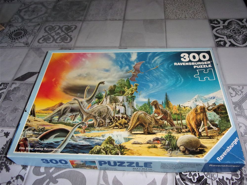 Puzzle Pr�histoire 25 Concarneau (29)