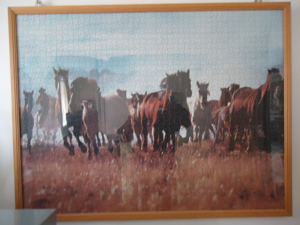 PUZZLE N�3 15 Portiragnes (34)