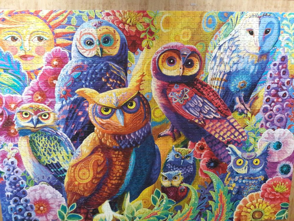 puzzle 10 Sigonce (04)