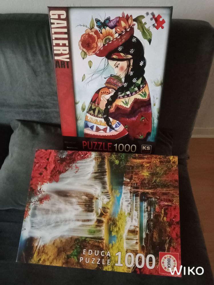 2 PUZZLES MAGNIFIQUES 1000 PIECES 10 M�rignac (33)