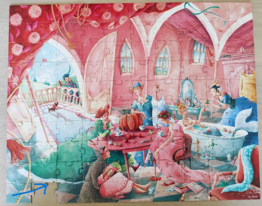 Puzzles  princesse  et  espace  3 Courtisols (51)