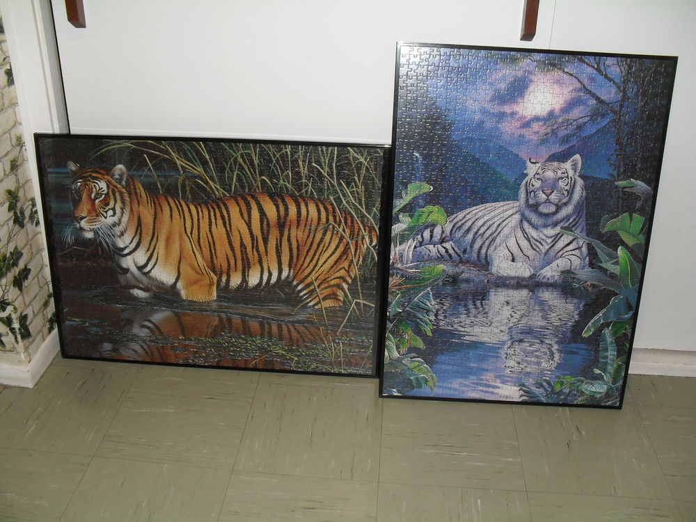 Puzzles tigres encadr�s sous verre 50x70 15 Toul (54)