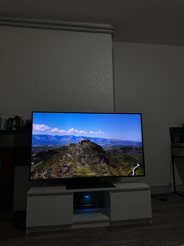 TV LG QNED 55 420 Lourdes (65)