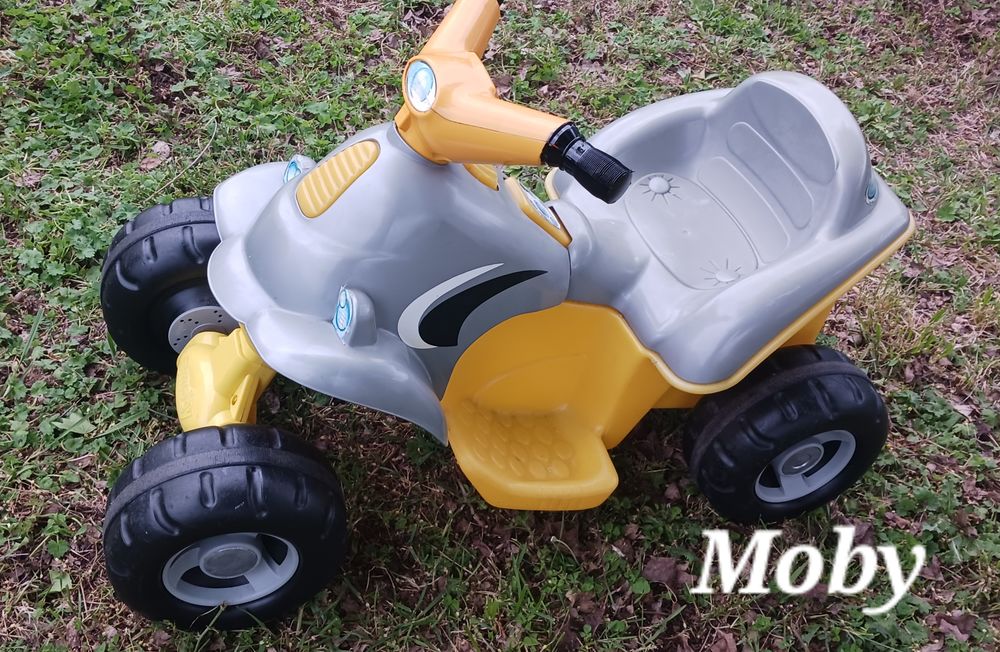 Quad �lectrique 55 Brie (16)