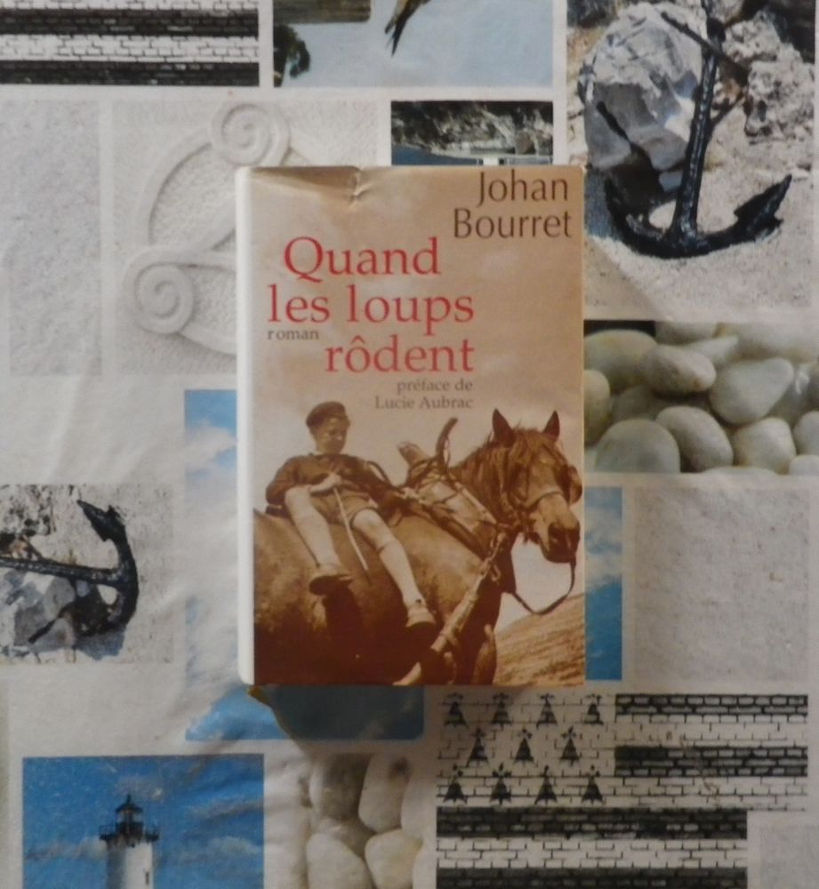 QUAND LES LOUPS RODENT de Johan BOURRET Ed. France Loisirs 3 Bubry (56)