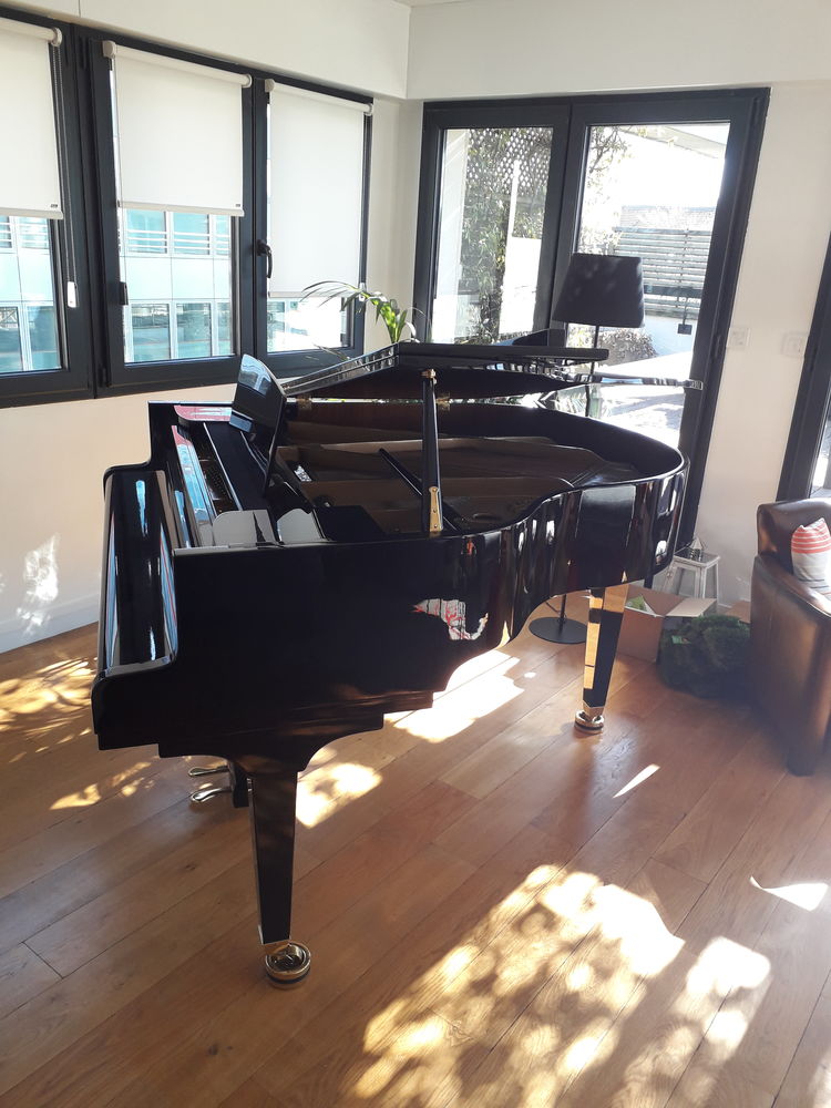 Quart de queue Steingraeber 160 33500 Montrouge (92)