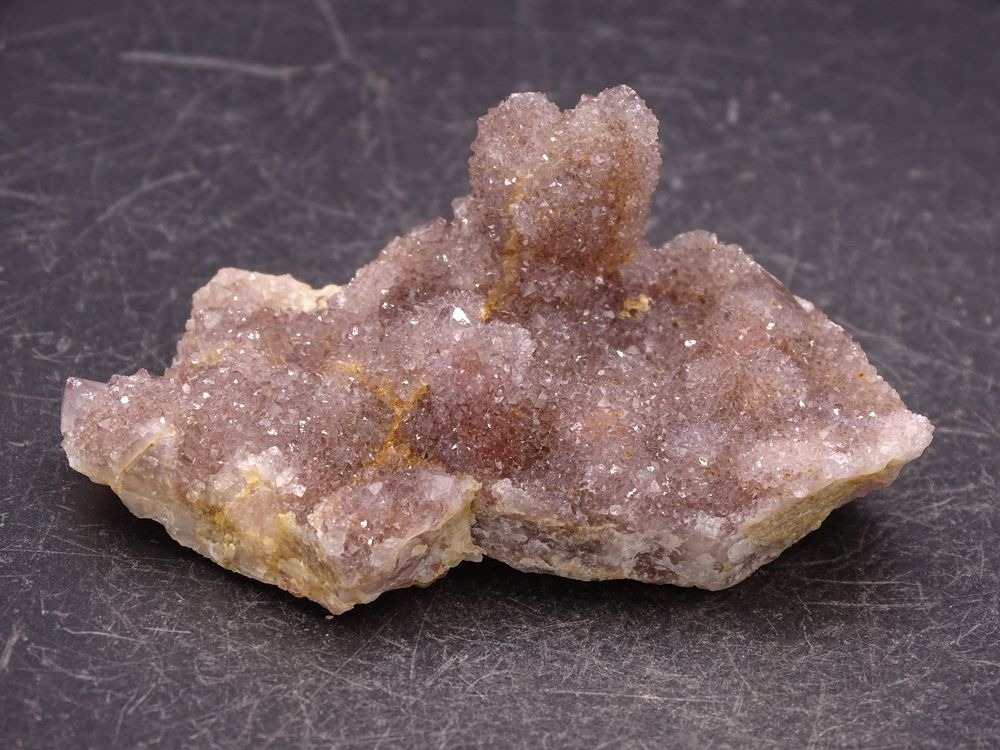 Quartz  Cactus  Mont Magaliesberg , Pr�toria , Province de G 25 Bertrichamps (54)