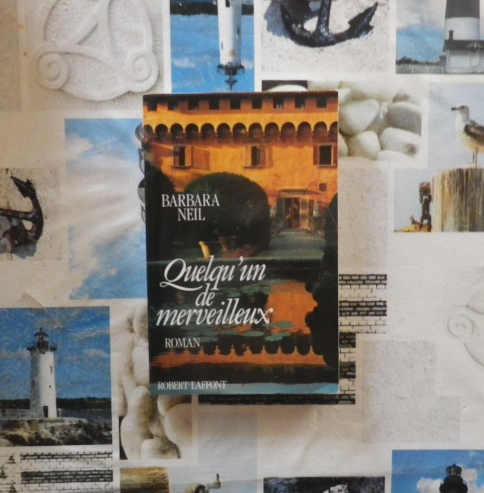 QUELQU'UN DE MERVEILLEUX de Barbara NEIL Ed. Laffont 4 Bubry (56)