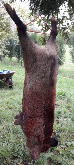 Quelques places pour nouveaux chasseurs 750 Fublaines (77)