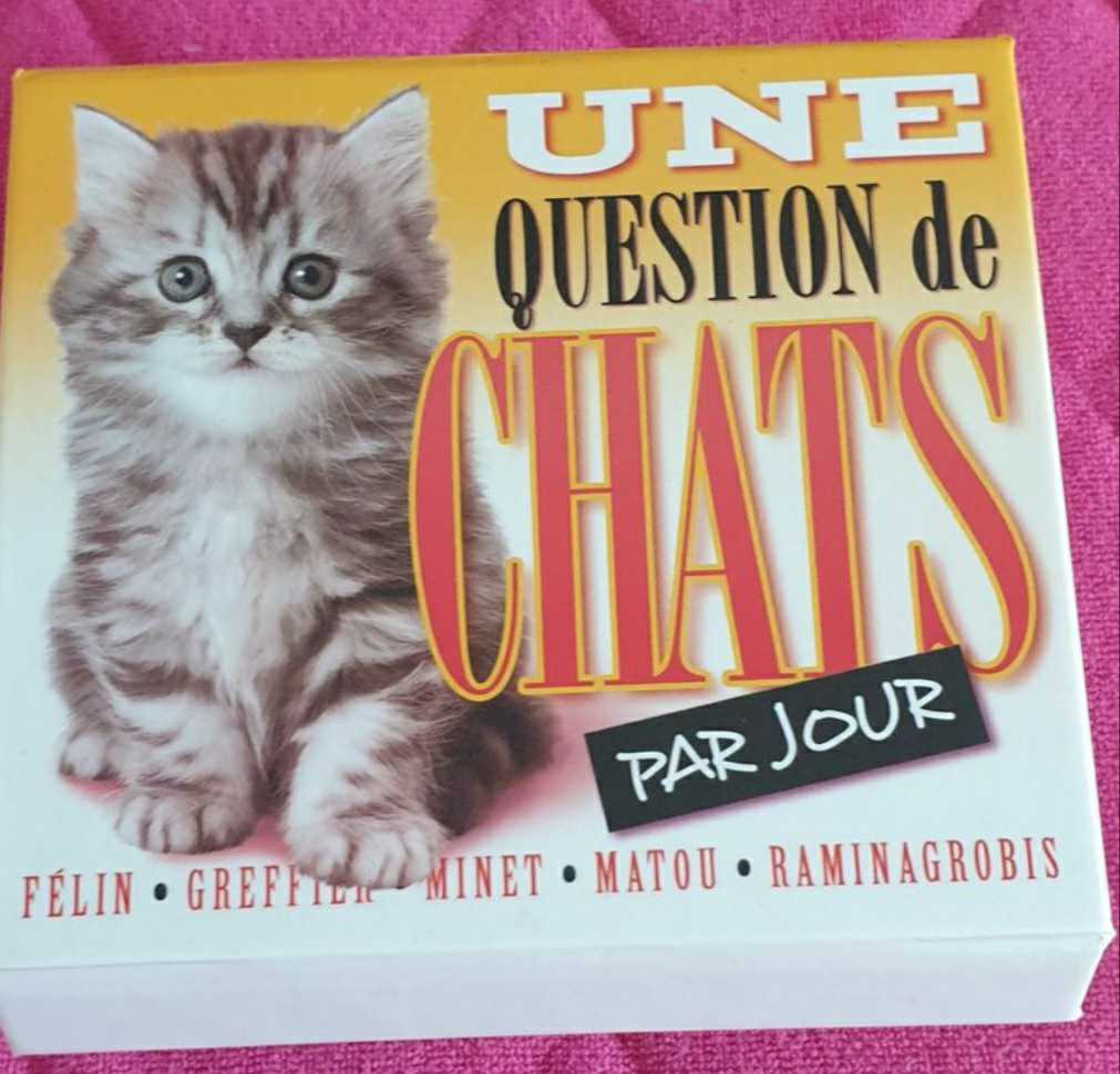 Une question de chat par jour 6 Nancy (54)