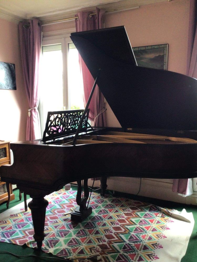 1/4 de queue Gaveau 3000 Paris 12 (75)