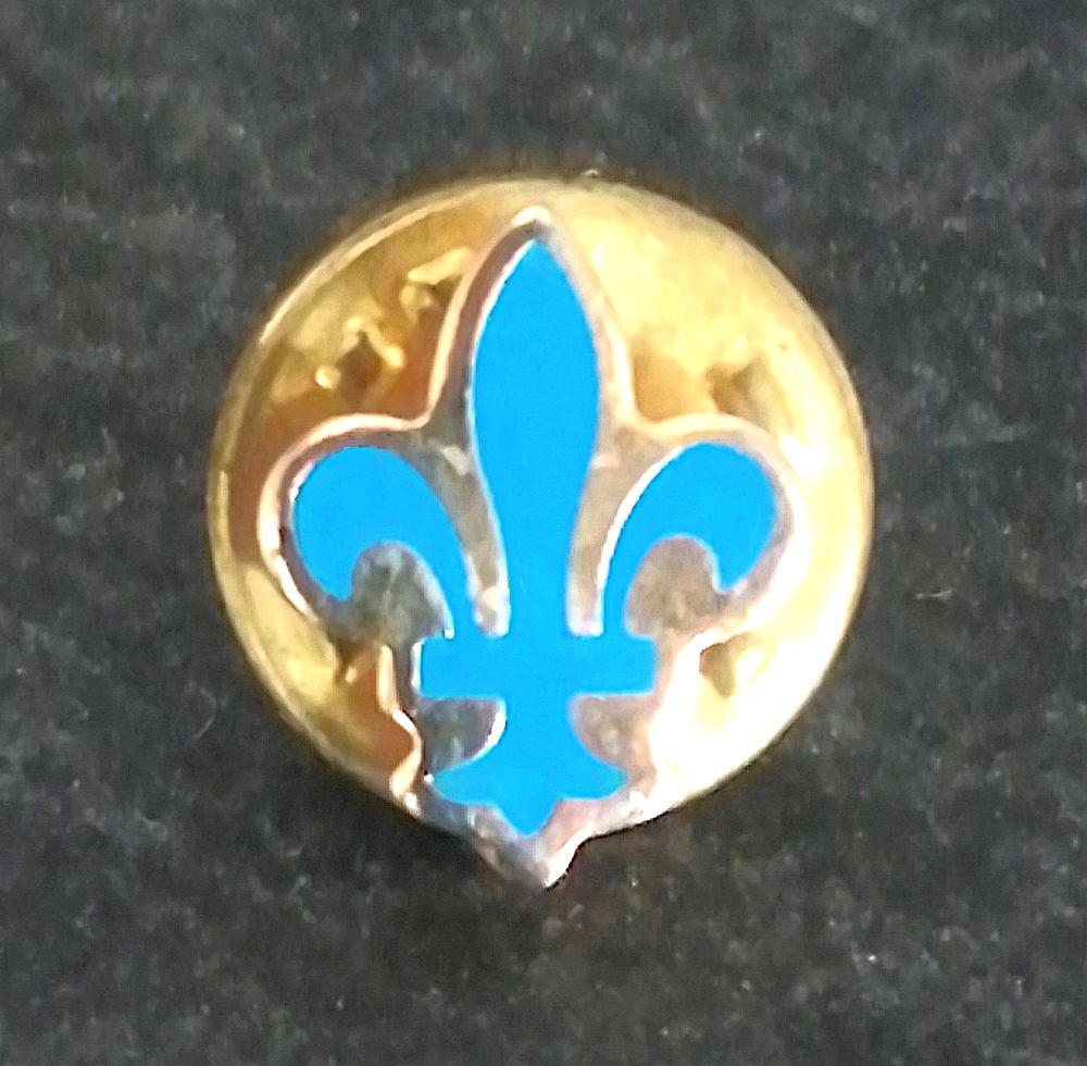 Pin's queue d'hermine bleue neuve 2 Puteaux (92)