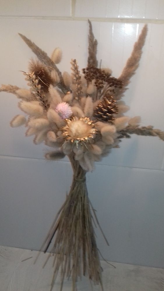 Queues de li�vres bouquet sec 500 tiges 19 Ondres (40)