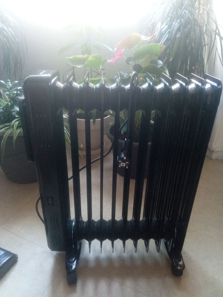 Radiateur bain d huile 90 Empurany (07)