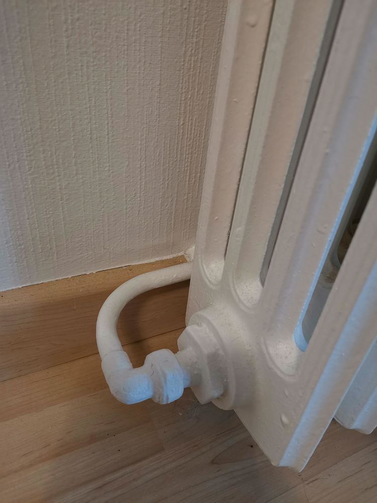 RADIATEUR FONTE 300 Gradignan (33)