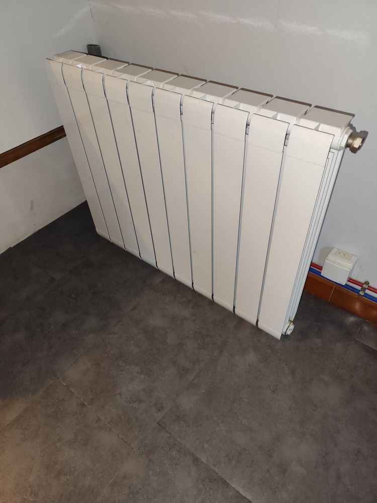 1 radiateur alu pour chaudiere a circulation d eau 45 Savigny-le-Temple (77)