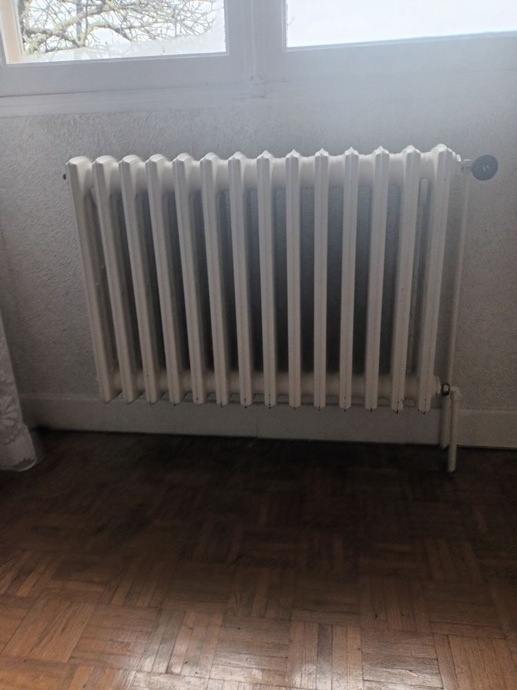 RADIATEURS EN FONTE 50 Pujols (47)