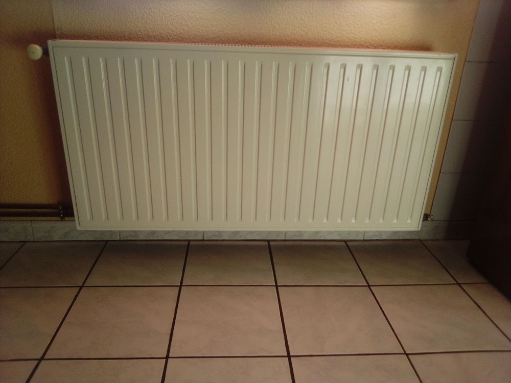 radiateurs 170 Dalou (09)