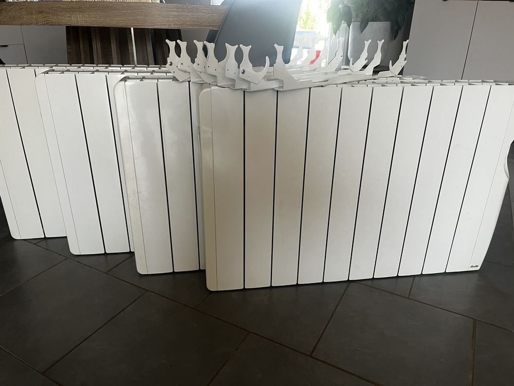 Radiateurs 450 Corgoloin (21)