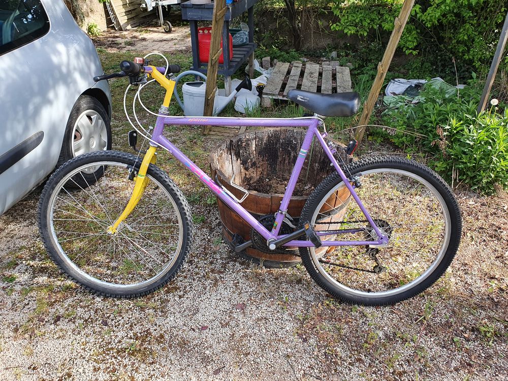 VTT RALEIGH 65 Dijon (21)