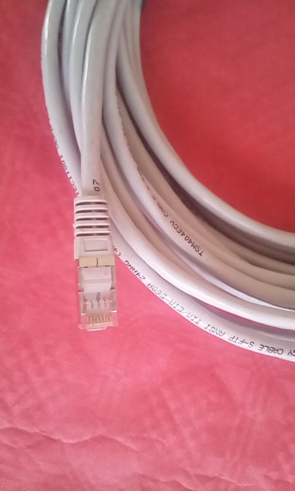 Rallonge internet 10 Aigre (16)