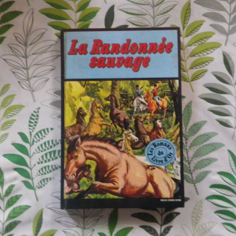 LA RANDONNEE SAUVAGE et autres histoires de chevaux Deux Coq 4 Bubry (56)