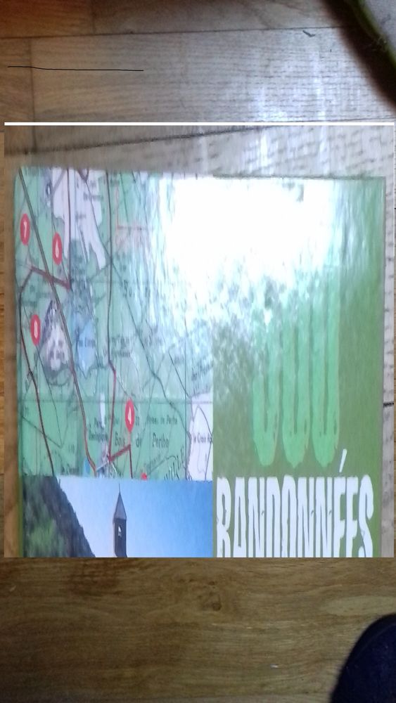 500 RANDONNEES EN FRANCE 18 Semoy (45)