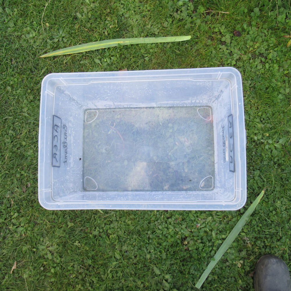 Bac de rangement plastique transparent 88 3 Lang� (36)