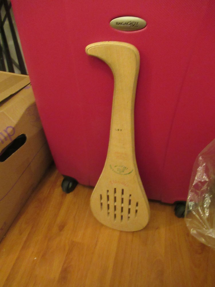 raquette pala 10 Surzur (56)