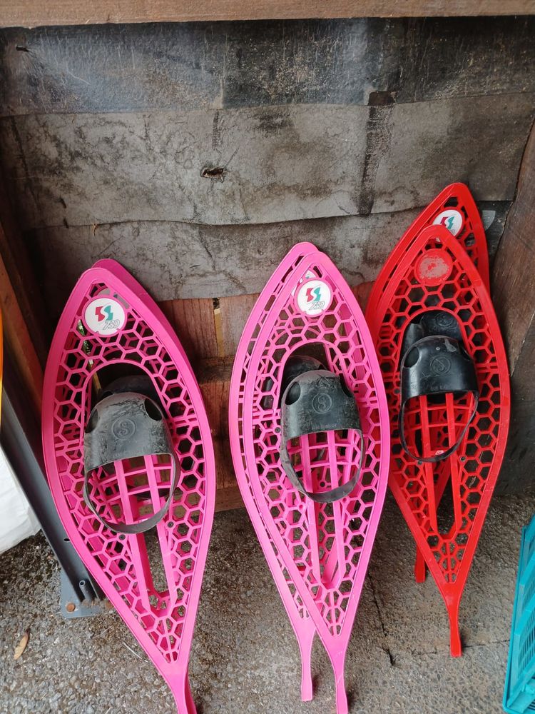 raquettes � neige 0 Th�nes (74)