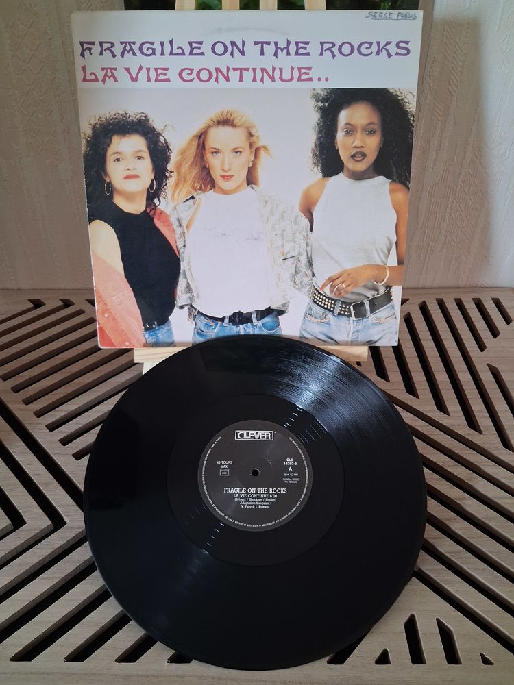 RARE MAXI SINGLE Fragile On The Rocks ?
La Vie Continue
15 Blanquefort (33)