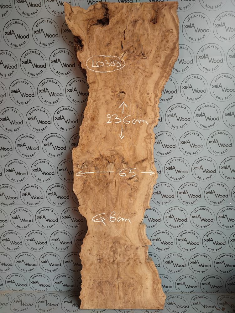 Rare plateau de loupe d'orme bois brut 790 Toulouse (31)