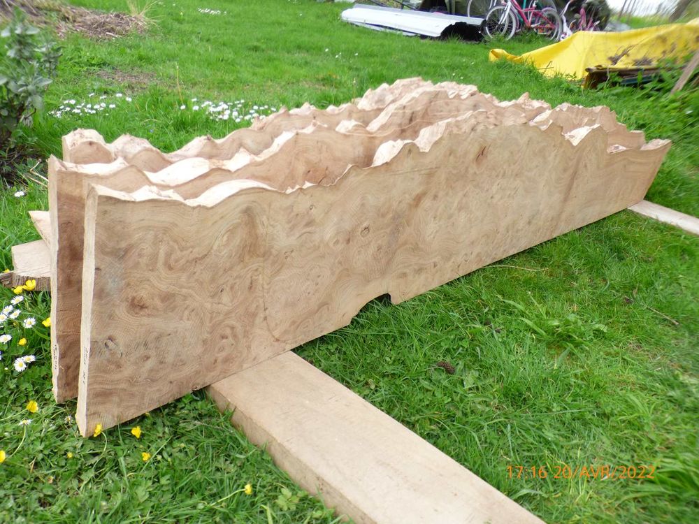 Rare plateaux en Orme 100 Pellevoisin (36)