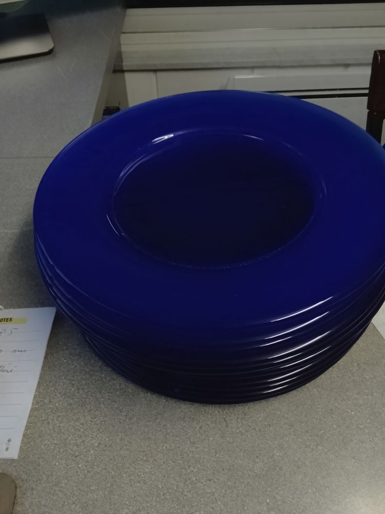 Rare propose cette serie de 12 grandes  assi�ttes bleue 30 Briey (54)