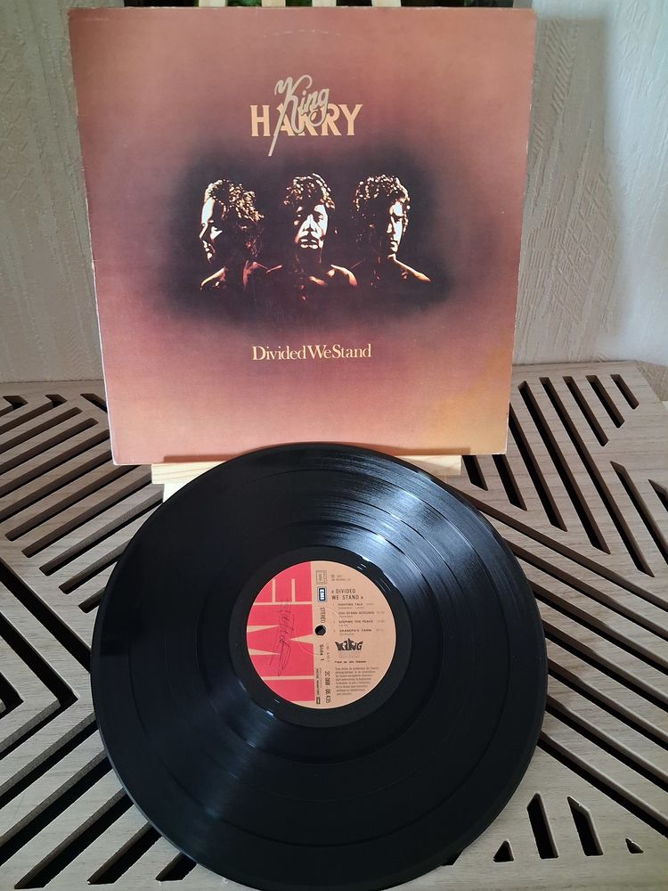 RARE LP 33 TOURS King Harry
Divided We Stand
12 Blanquefort (33)