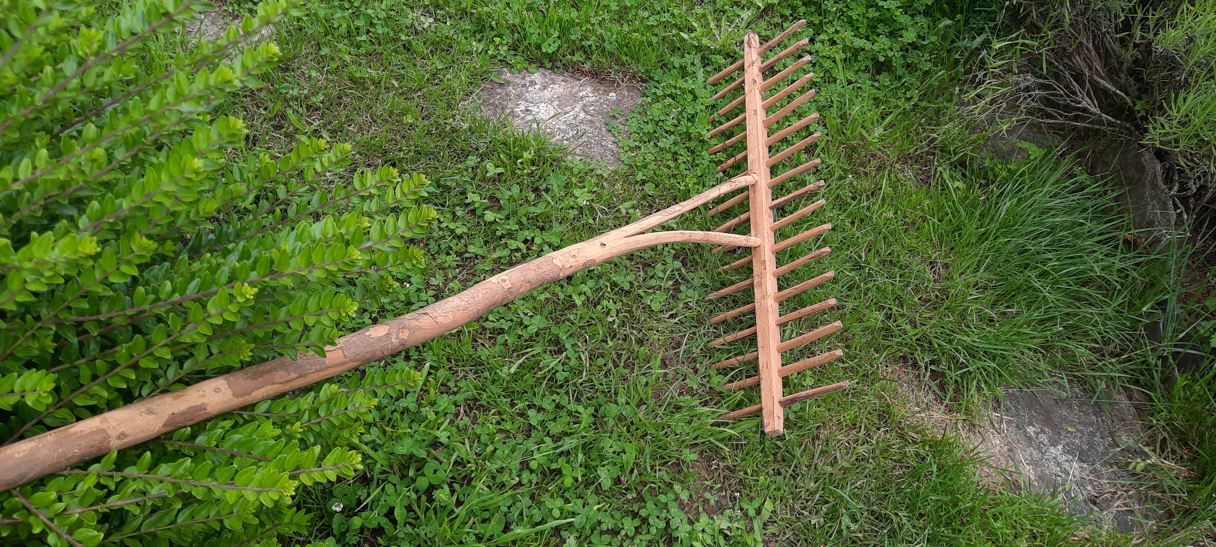 RATEAU FANEUR D' EPOQUE
30 Rodez (12)